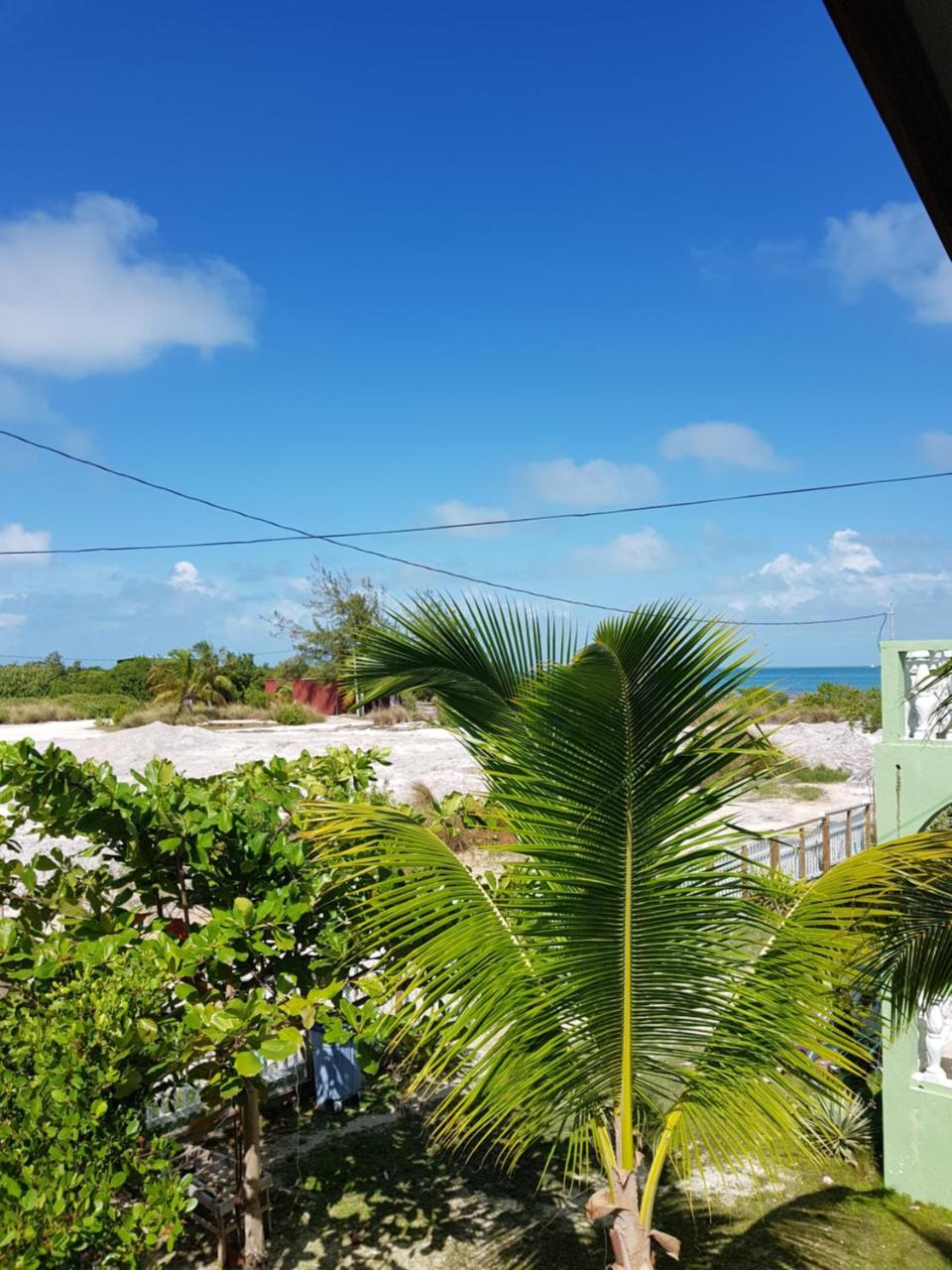 Trellis House Διαμέρισμα Caye Caulker Εξωτερικό φωτογραφία